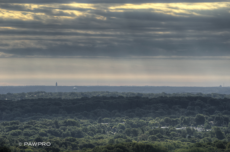 Tysons Corner/Pawpro Real Estate Photography