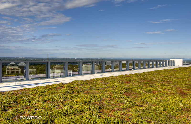 Rooftop greenery at Tysons Tower