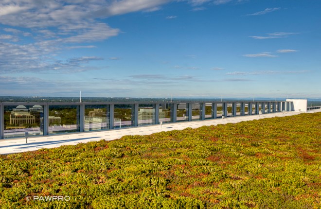 Rooftop greenery at Tysons Tower
