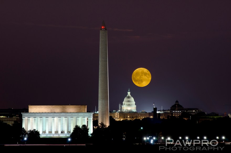 Image property of Amy Doherty/Pawpro Media