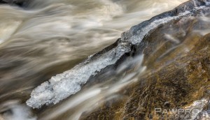 Icy Patch in Difficult Run Stream