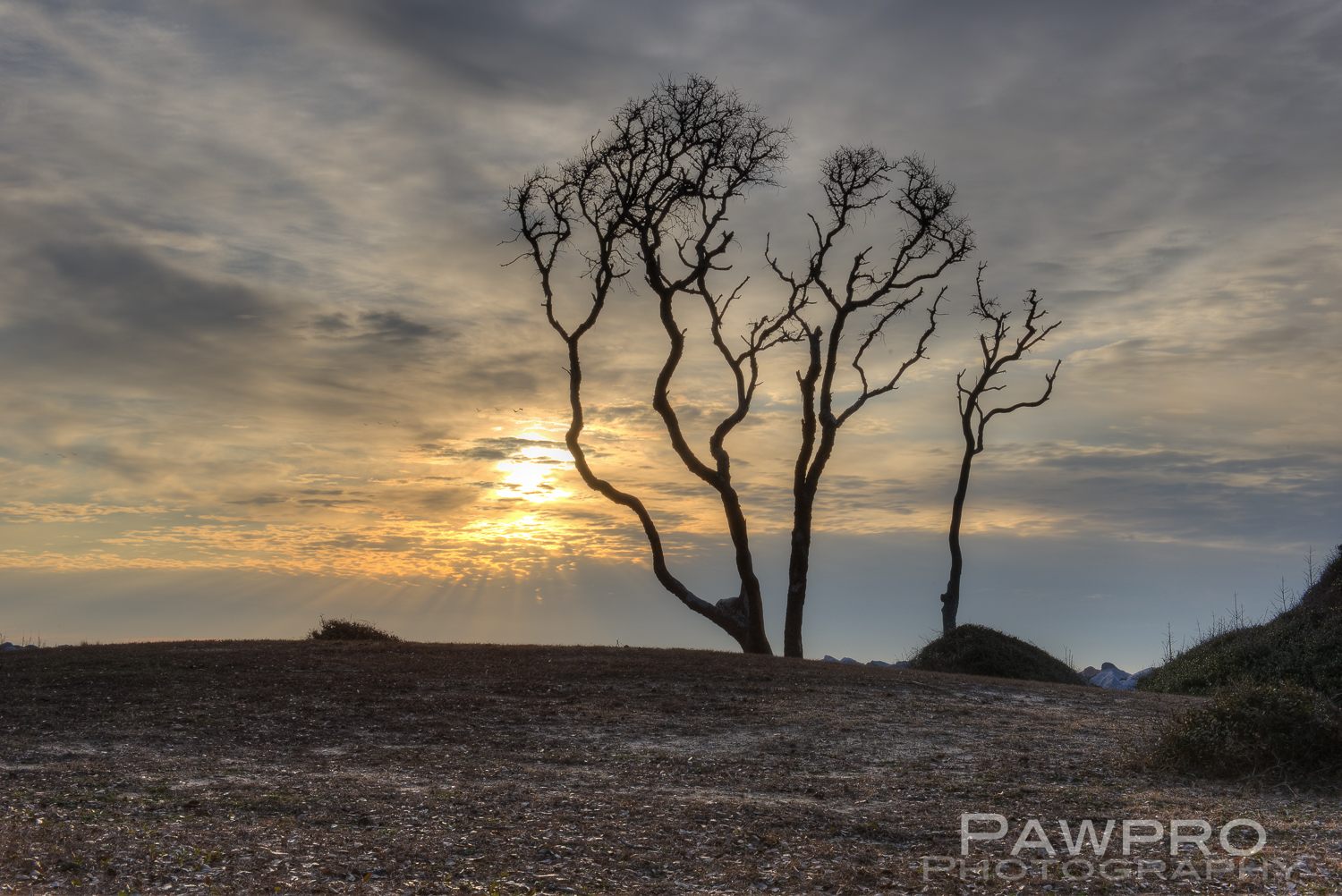 _PAW2949_50_51_tonemapped