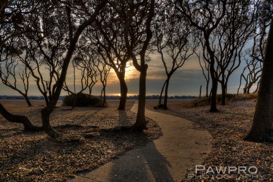 _PAW2957_58_59_60_61_62_63_tonemapped