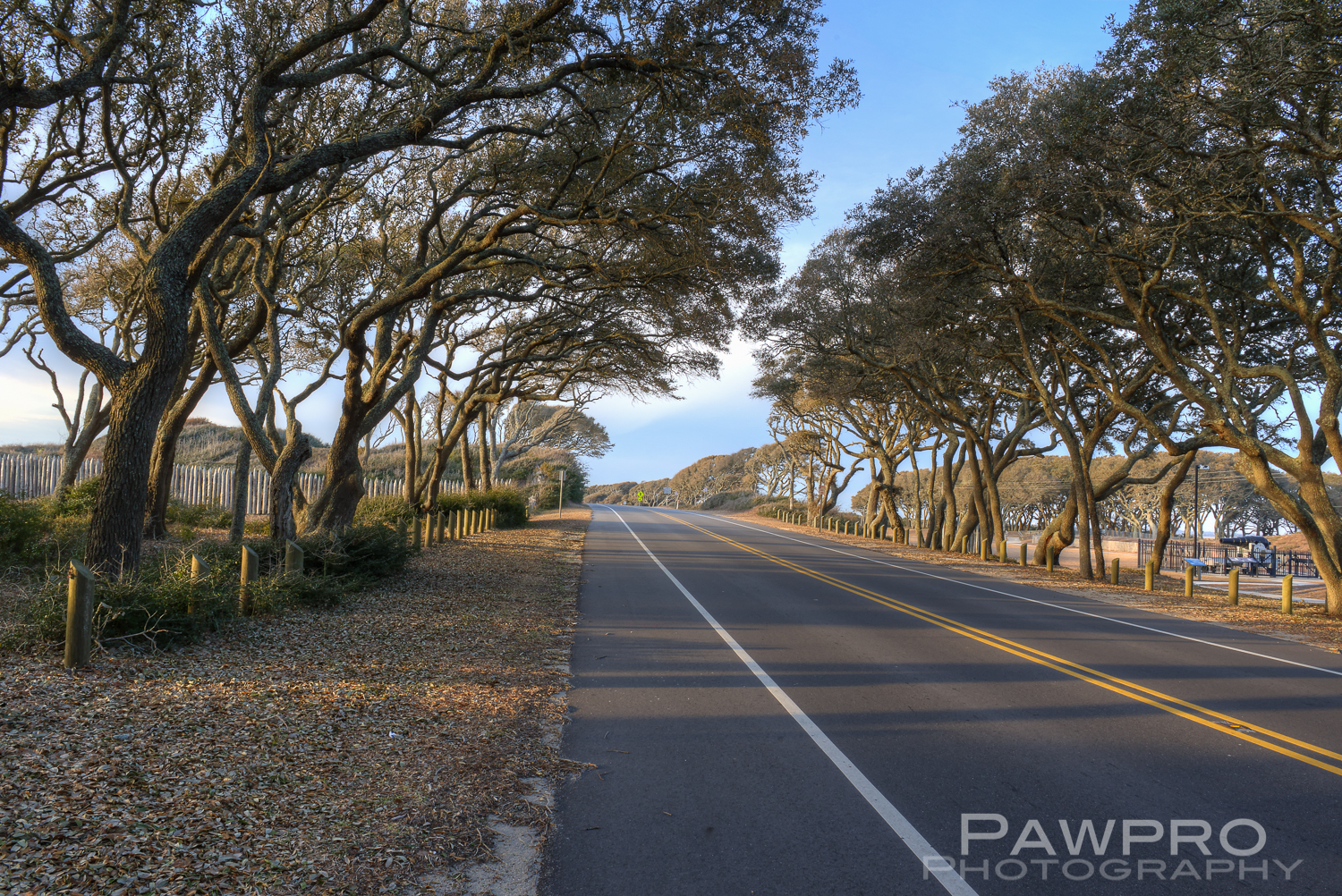 _PAW2971_2_3_4_5_6_tonNoGhost