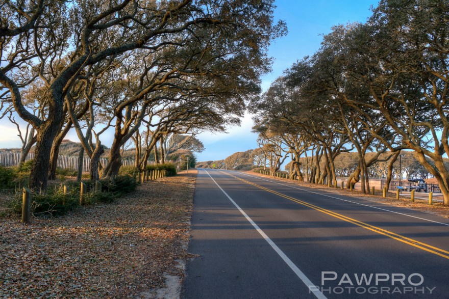 _PAW2971_2_3_4_5_6_tonNoGhost