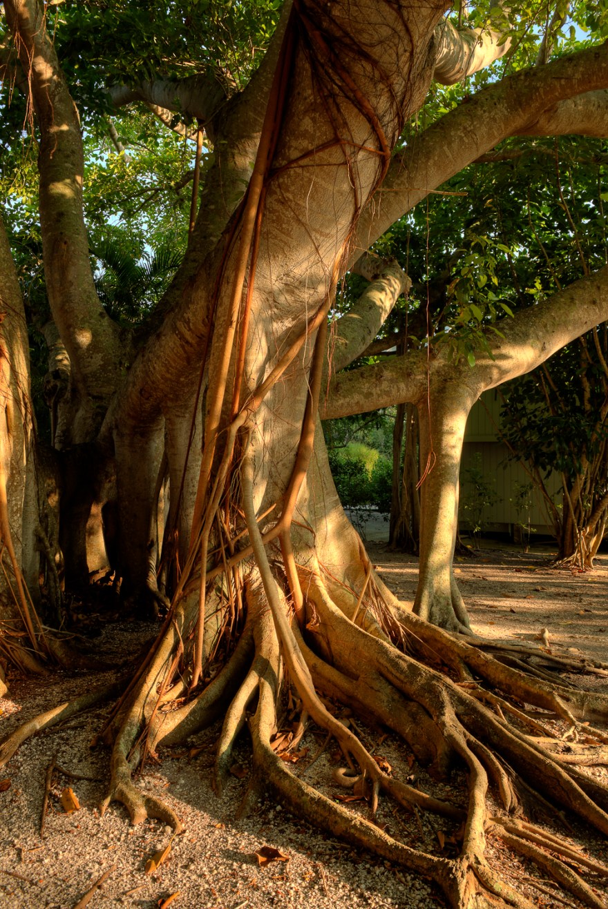 _PAW9448_49_50_tonemapped