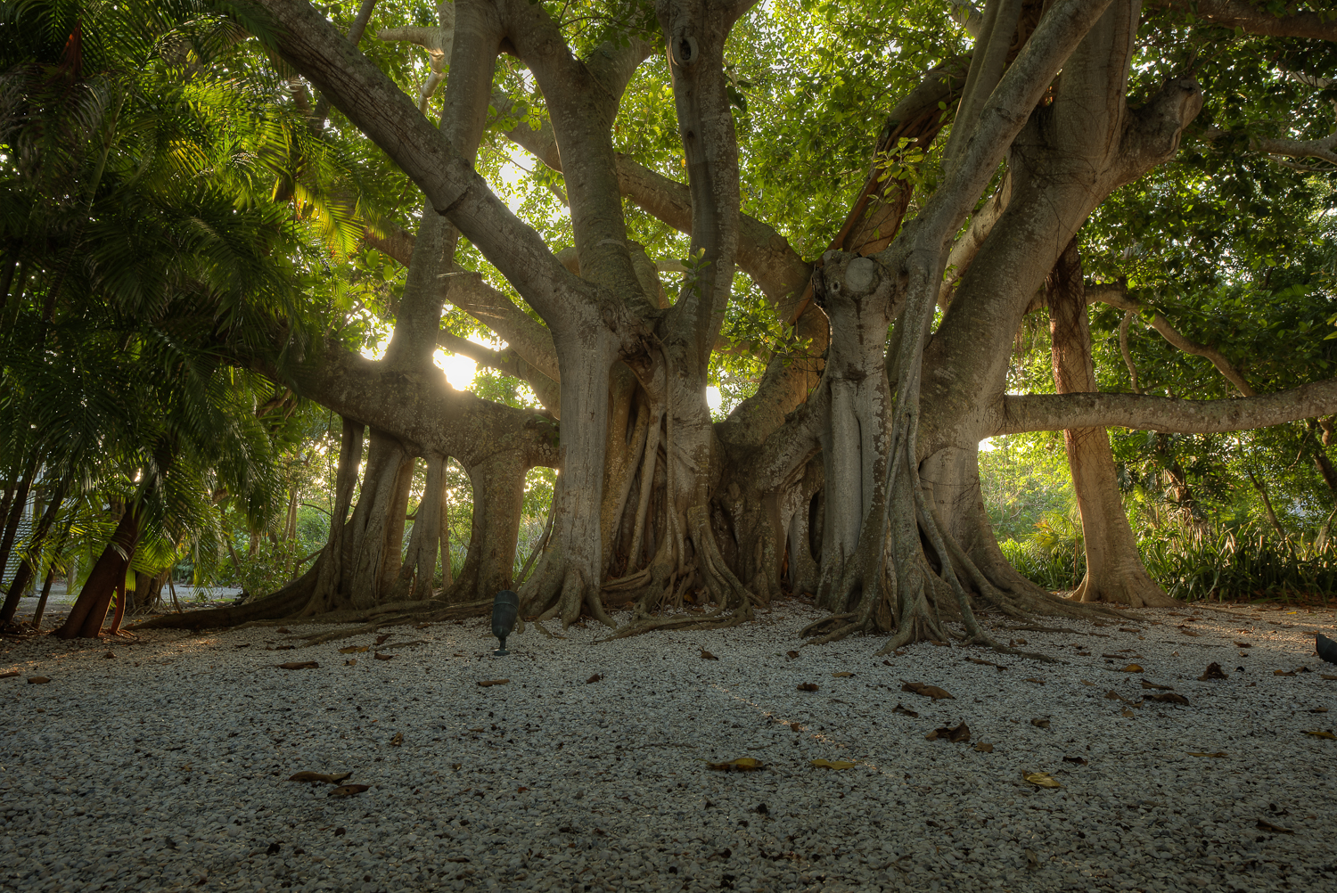 _PAW9695_6_7_tonemapped