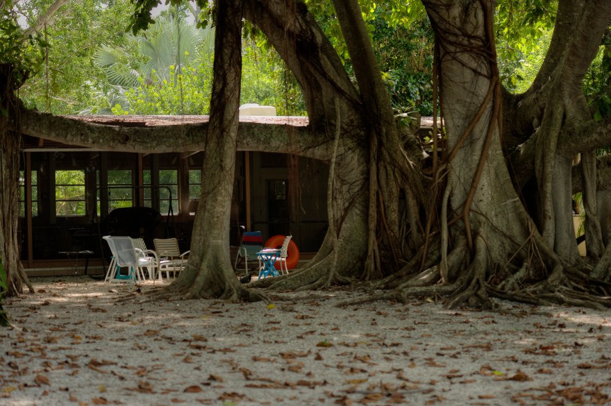 _PAW9723_4_tonemapped