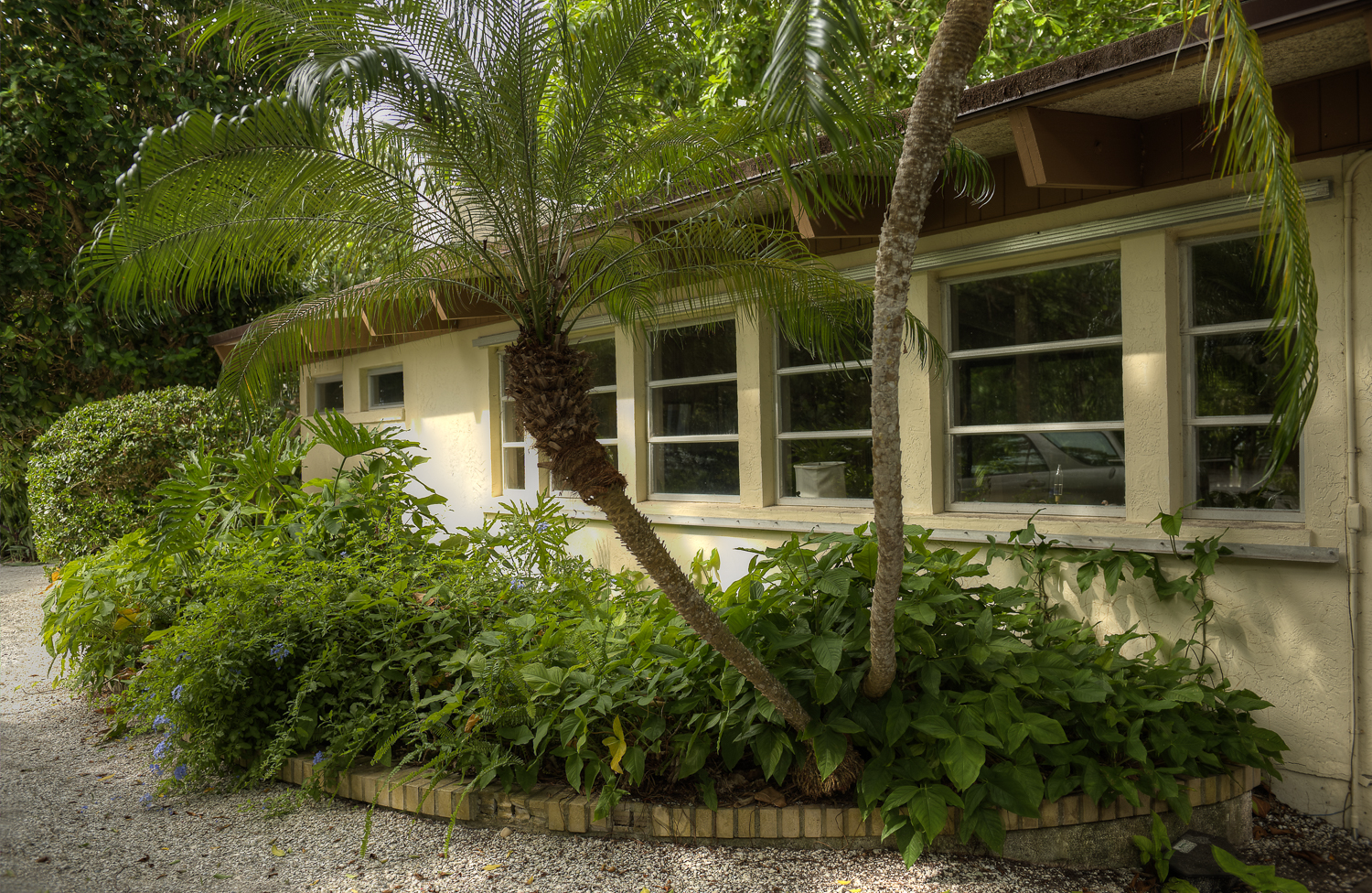 _PAW9912_3_4_5_tonemapped