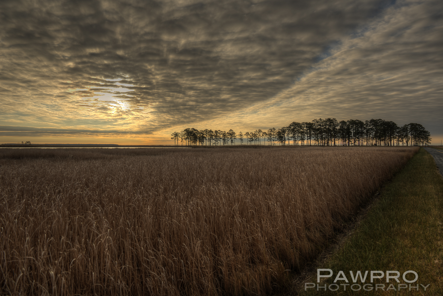 BlackwaterlandscapePAW6608