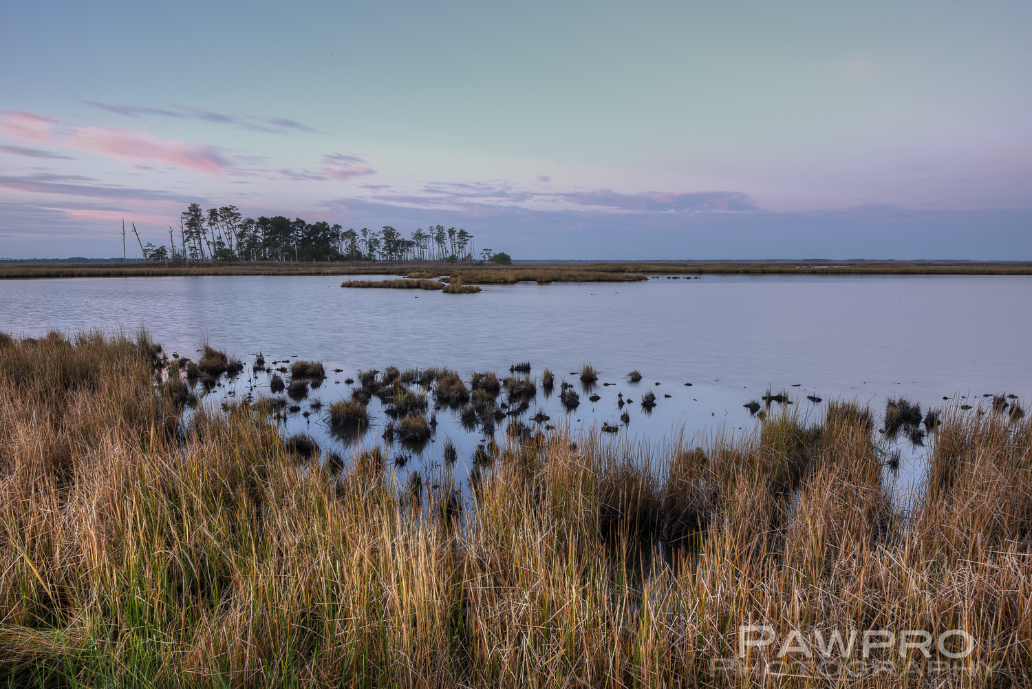 BlackwaterRefugeDawn2PAW5377