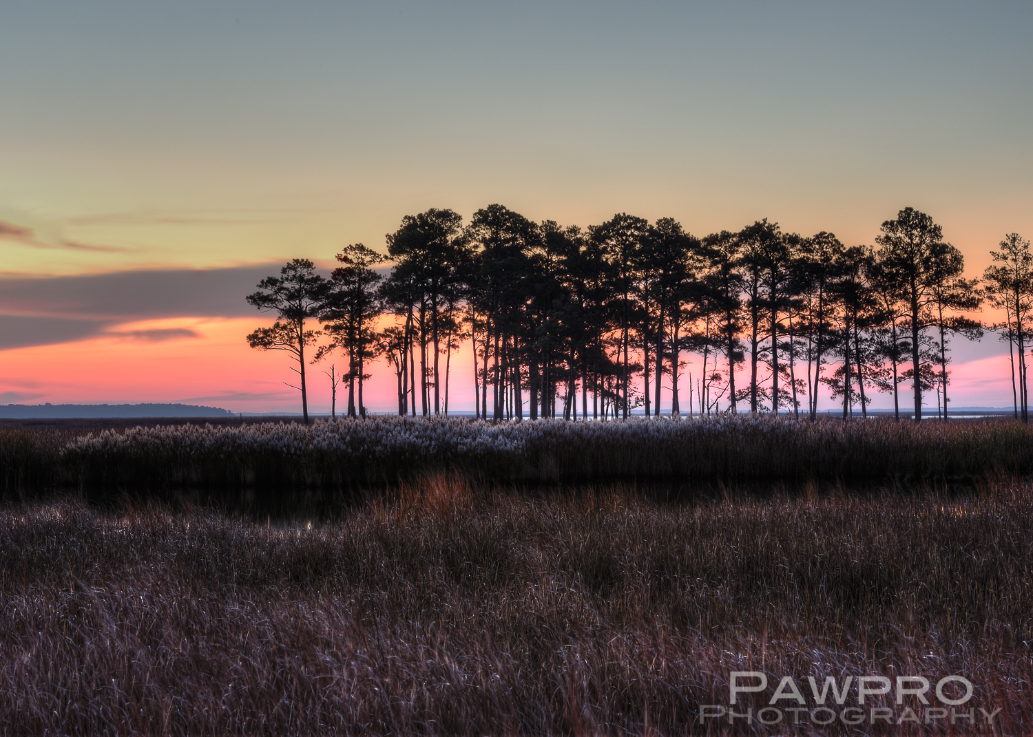 BlackwaterRefugeDawnPawpro