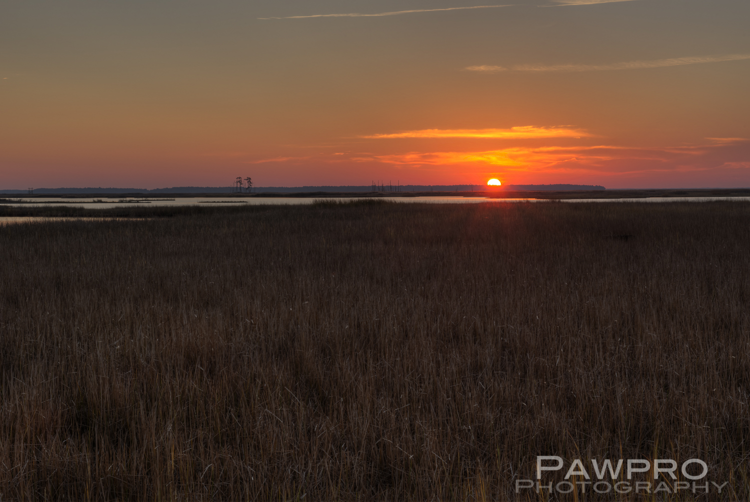 BlackwaterRefugeSunrise