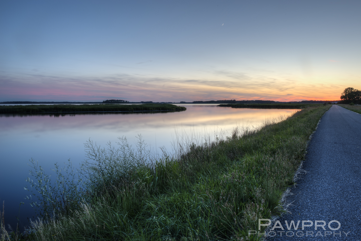 BlackwaterWildlifeDrivePAW8013