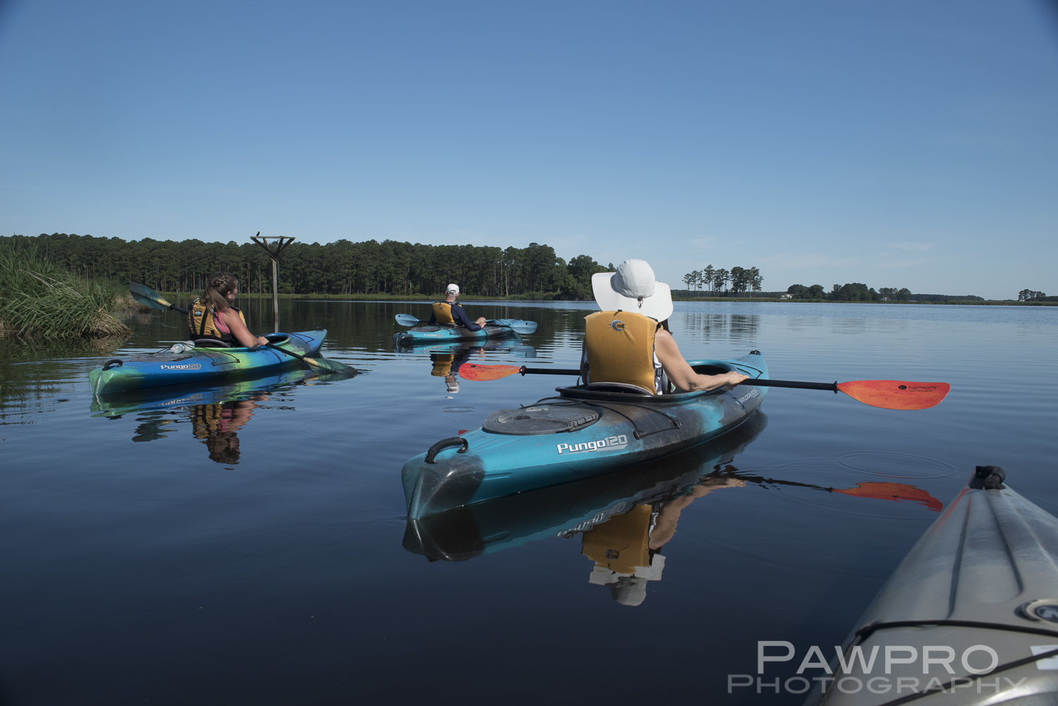 KayakingBlackwaterNWRPAW8049