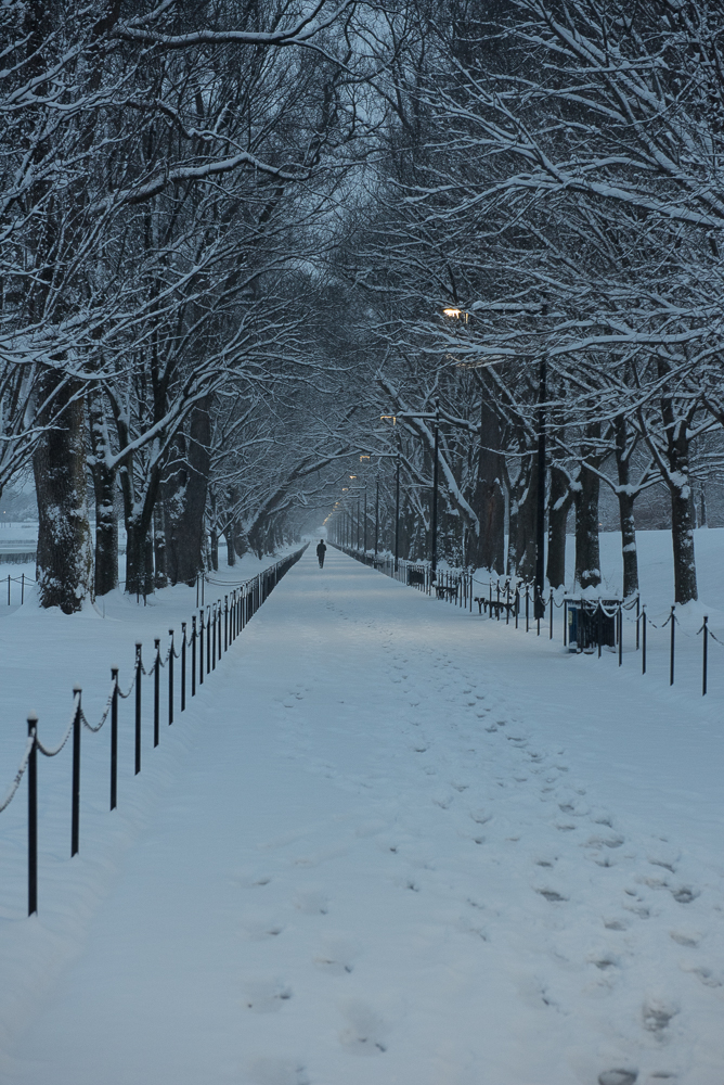 dcsnow2019pawpromedia-7145