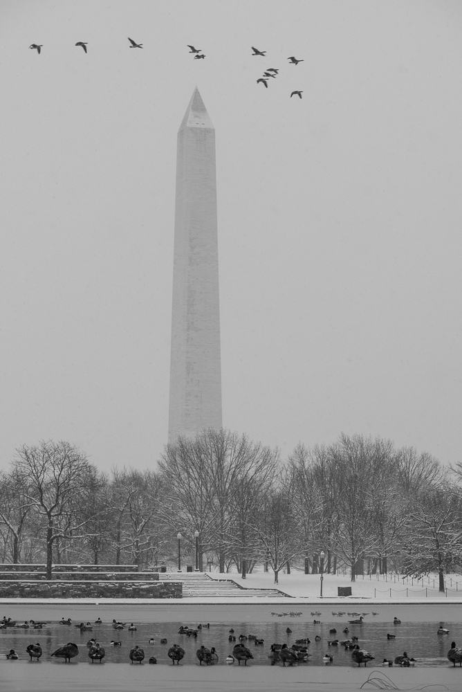 dcsnow2019pawpromedia-7181