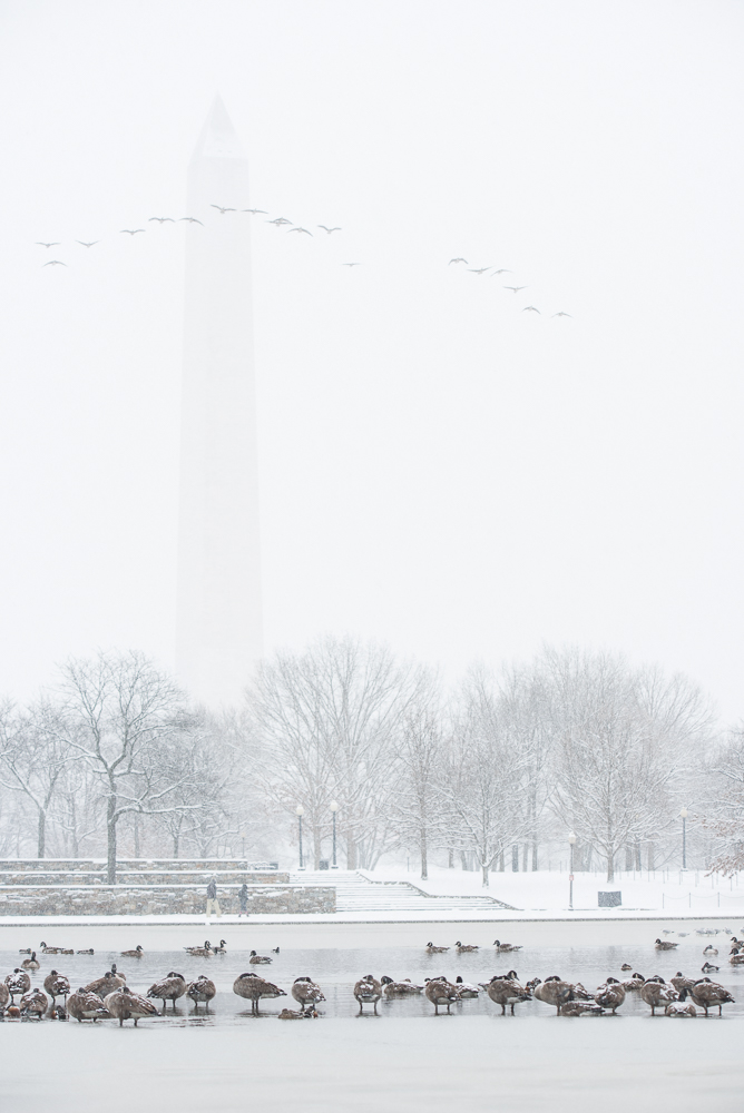 dcsnow2019pawpromedia-7229