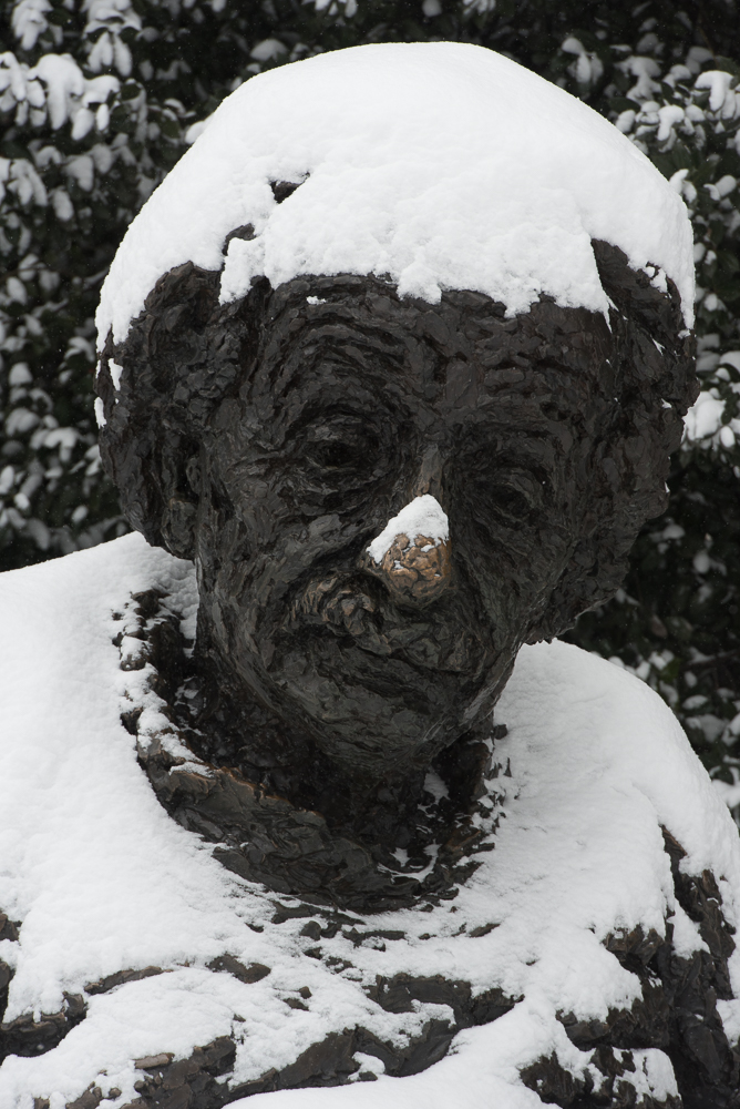 dcsnow2019pawpromedia-7296