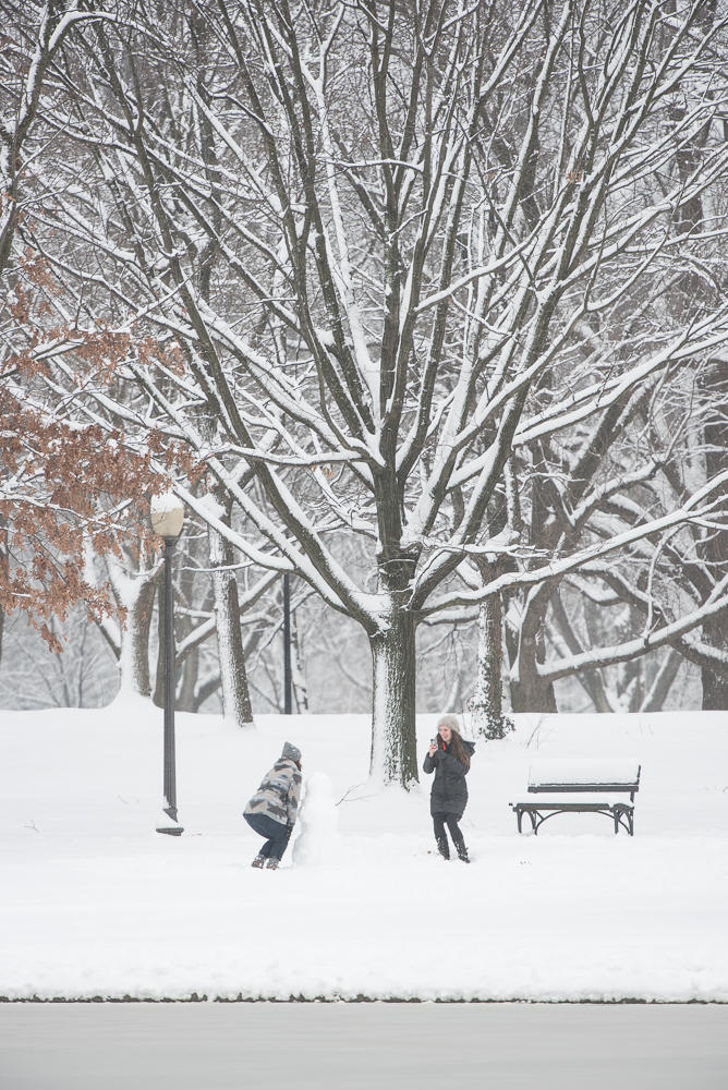 dcsnow2019pawpromedia-7324