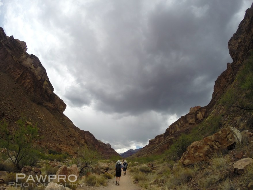 GrandCanyonTrailPawpro0432