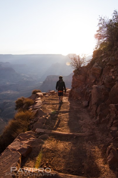 PAW4953GrandCanyonboyhiker