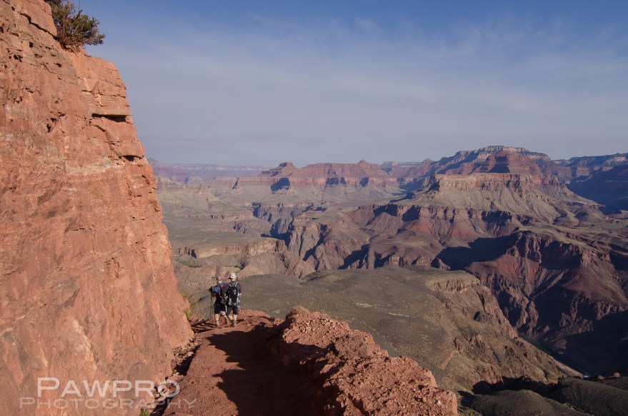 PAW_5020GrandCanyon