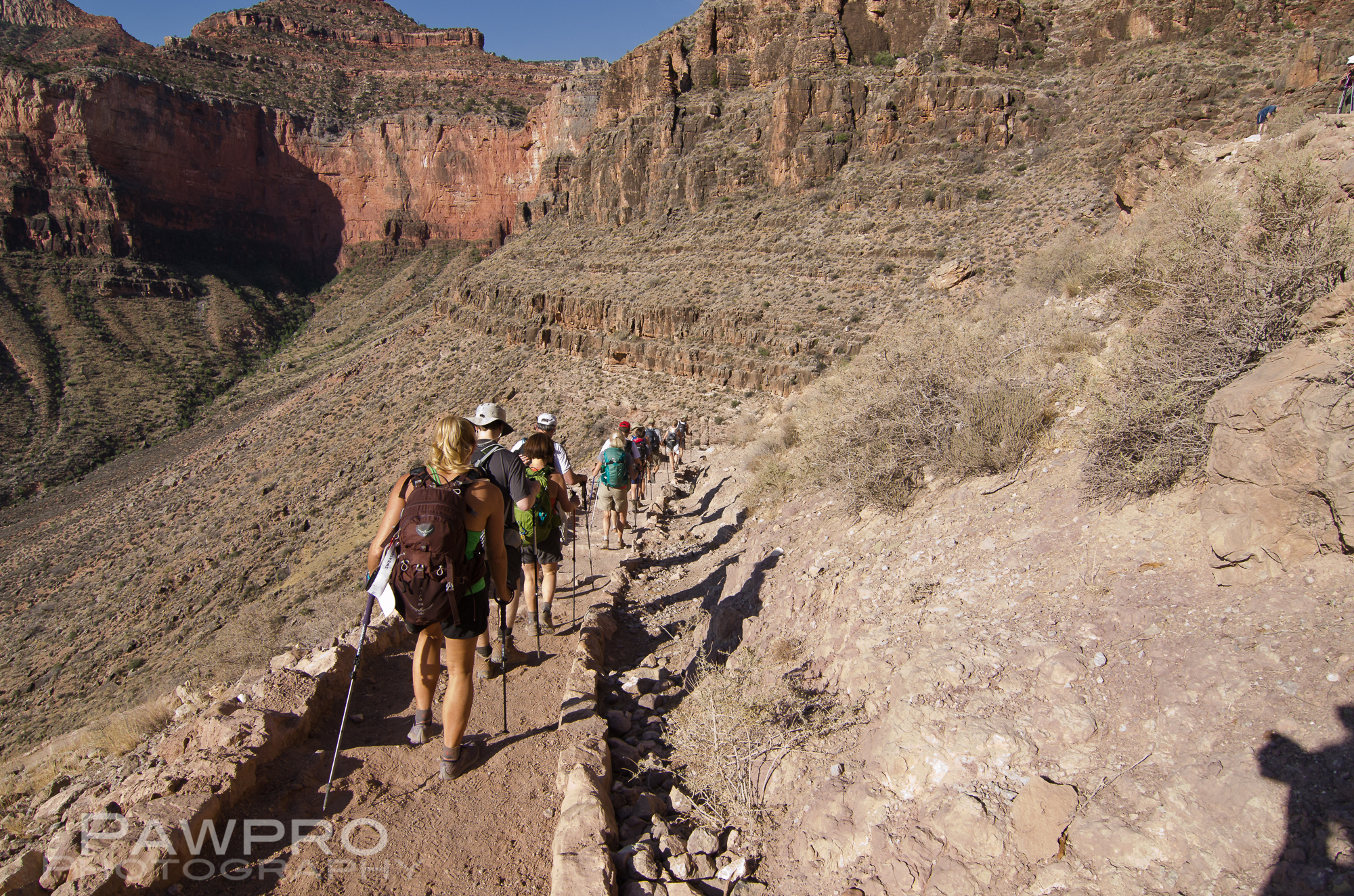 PAW_5030GrandCanyonrimtorim