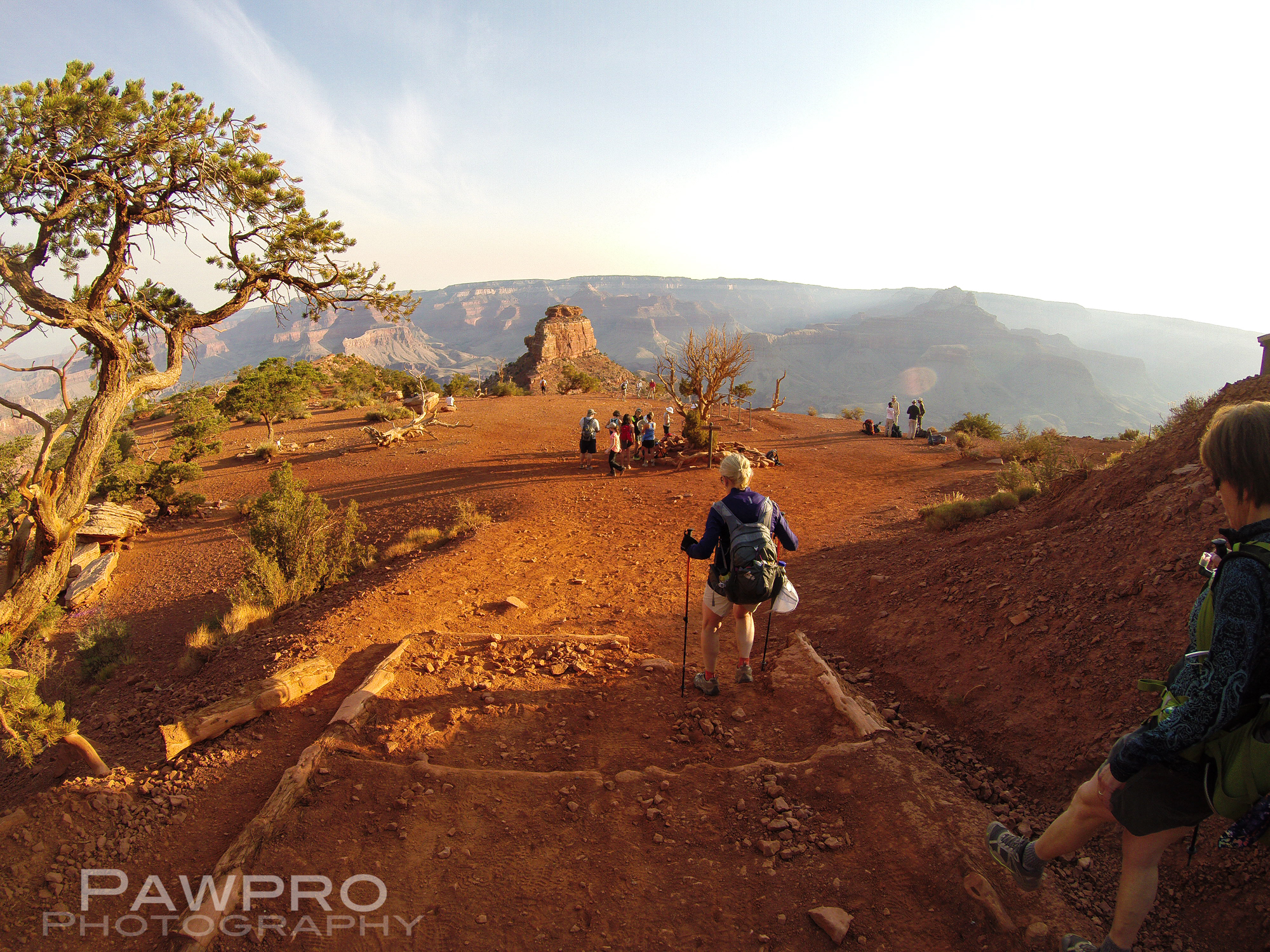 SouthKaibabRestStopPawpro