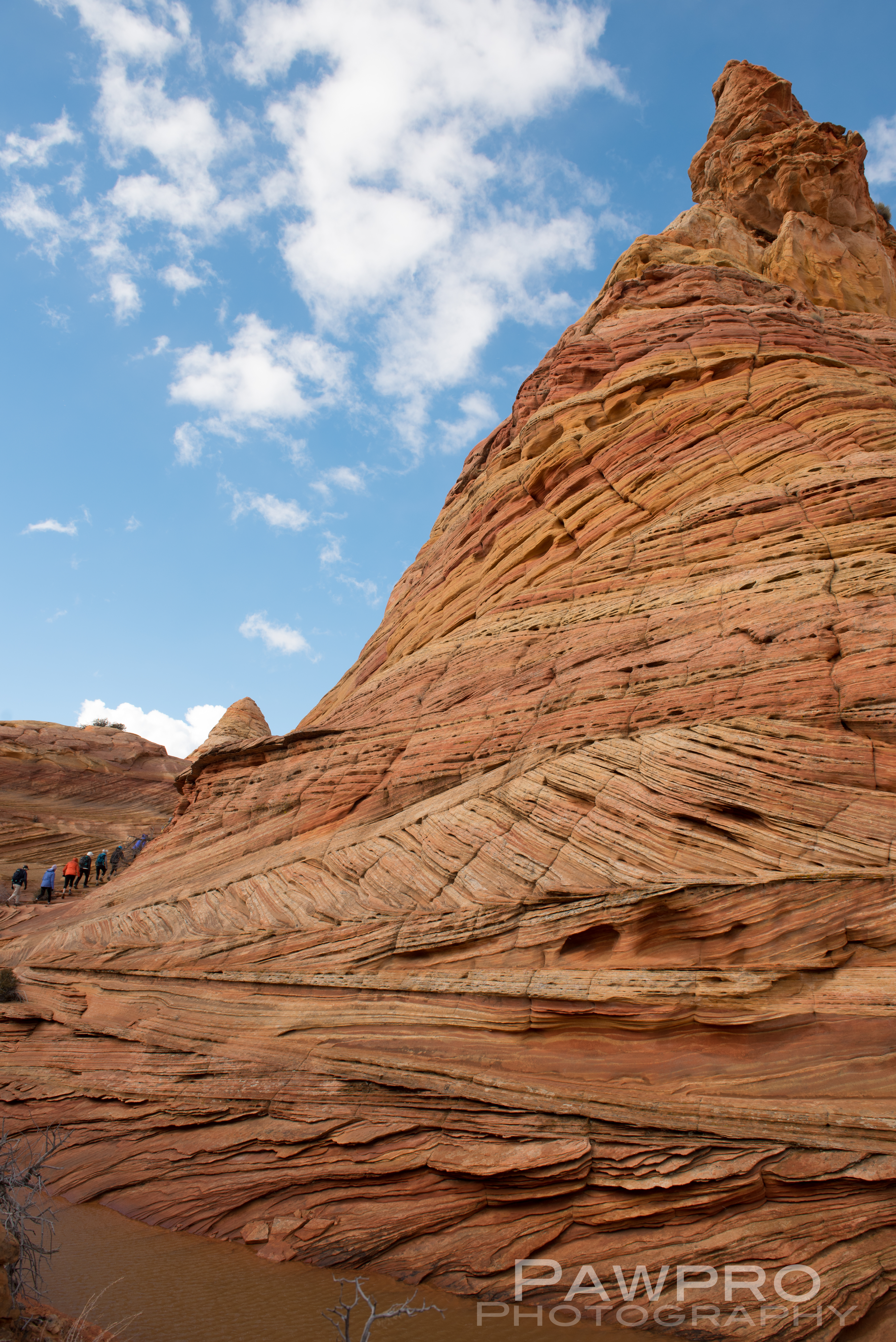 CoyoteButtesTeepeestrata