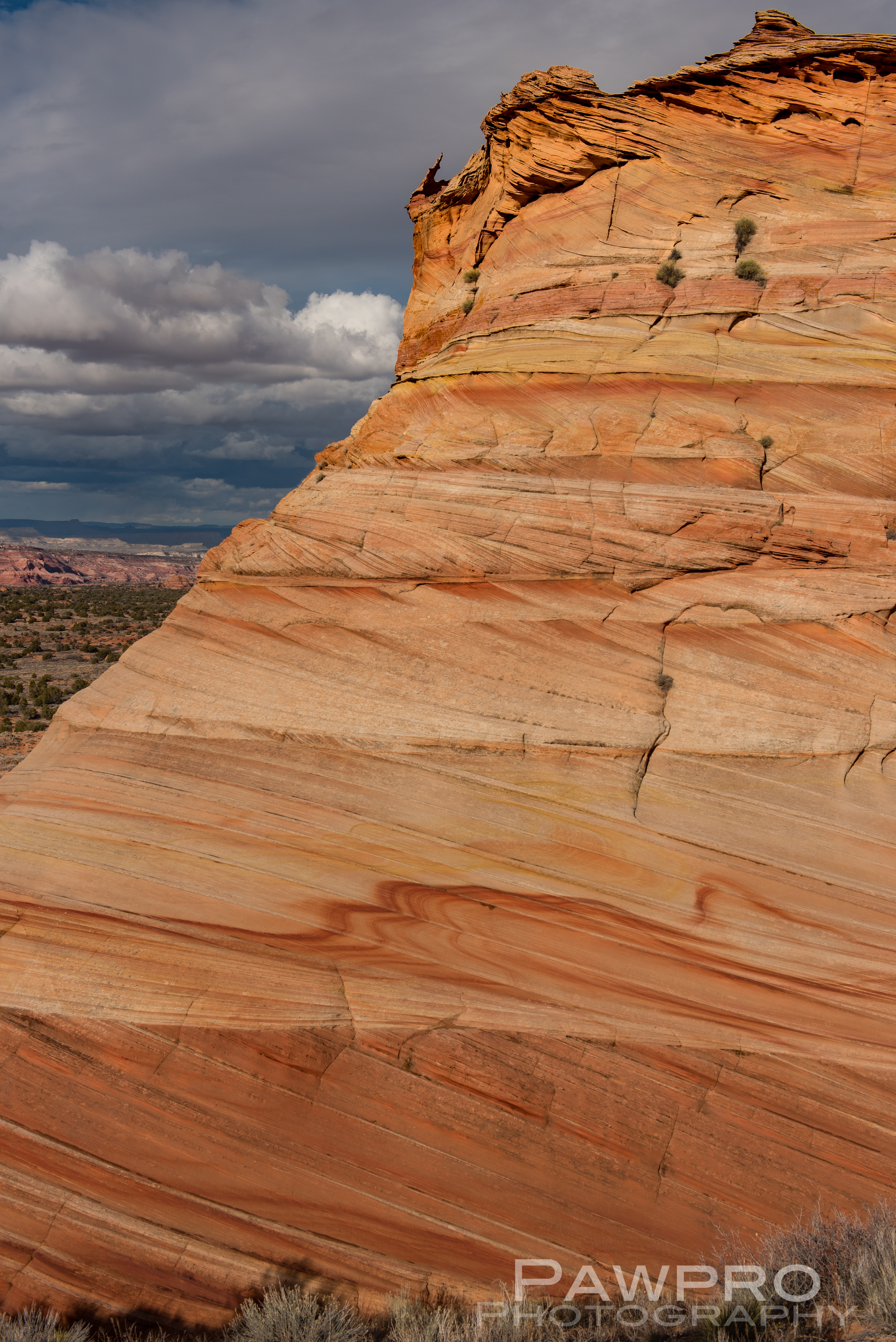 SouthCoyoteButtesNavajoSndstone