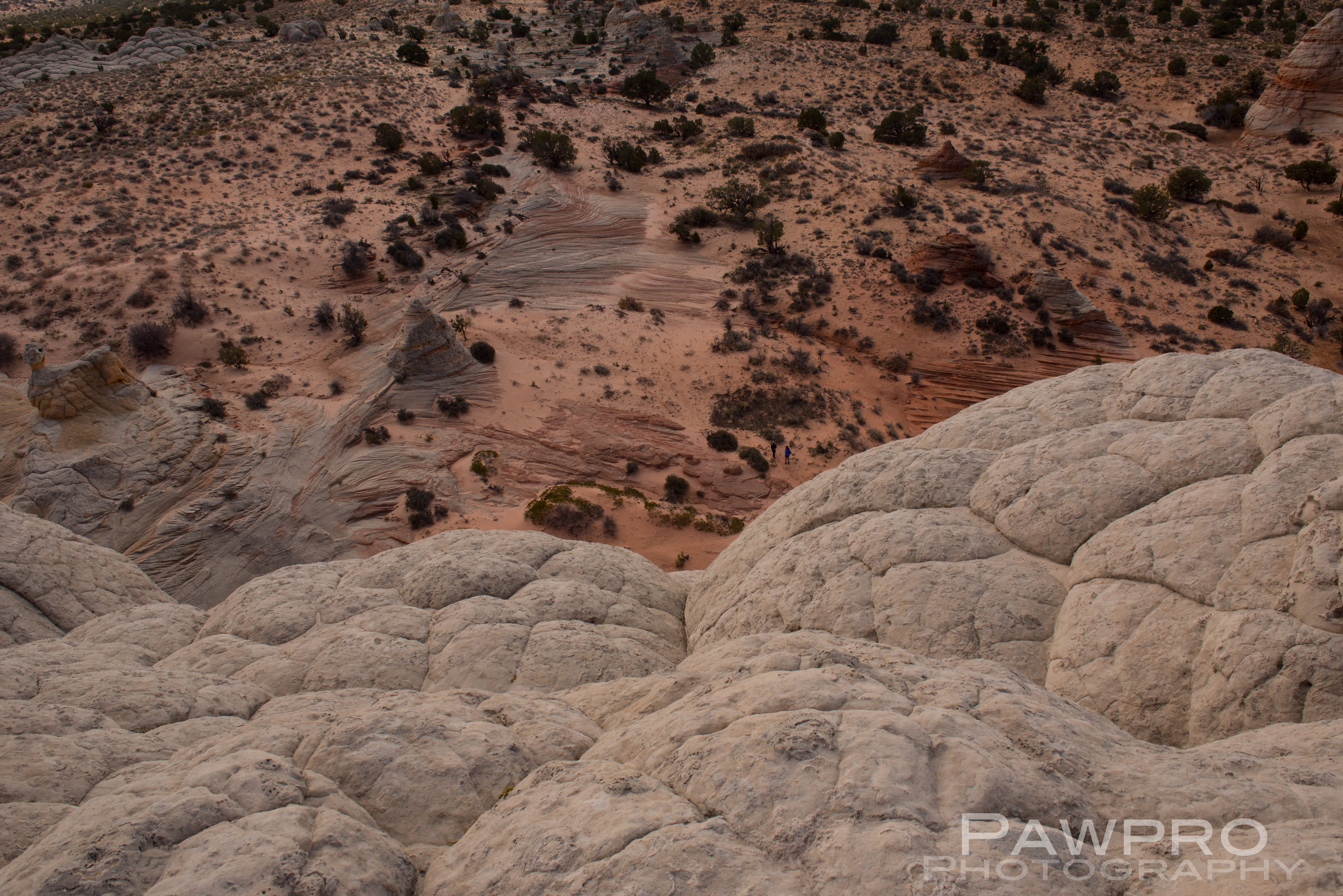 WhitePocketCauliflowerRock