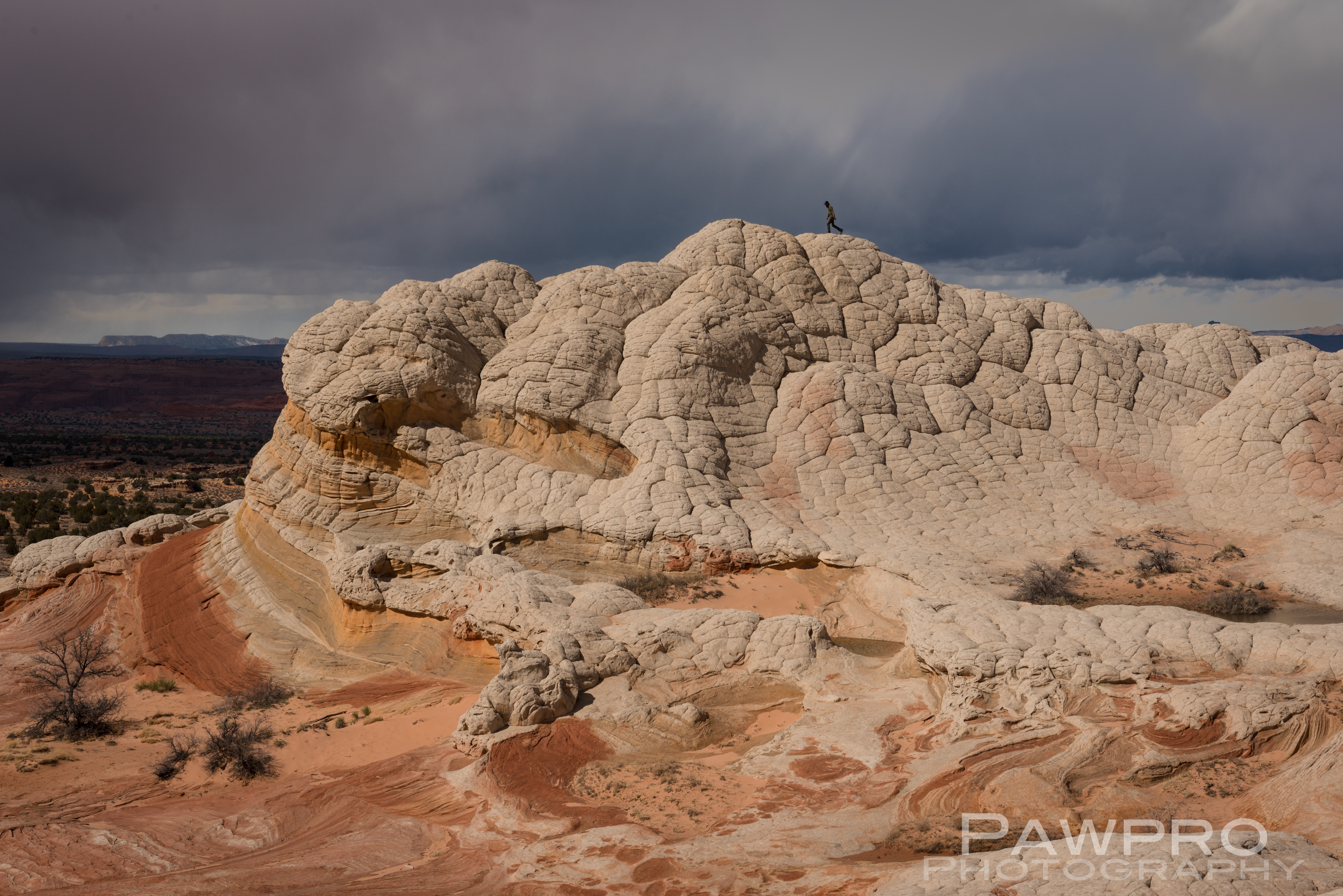 WhitePocketRidgeHiker