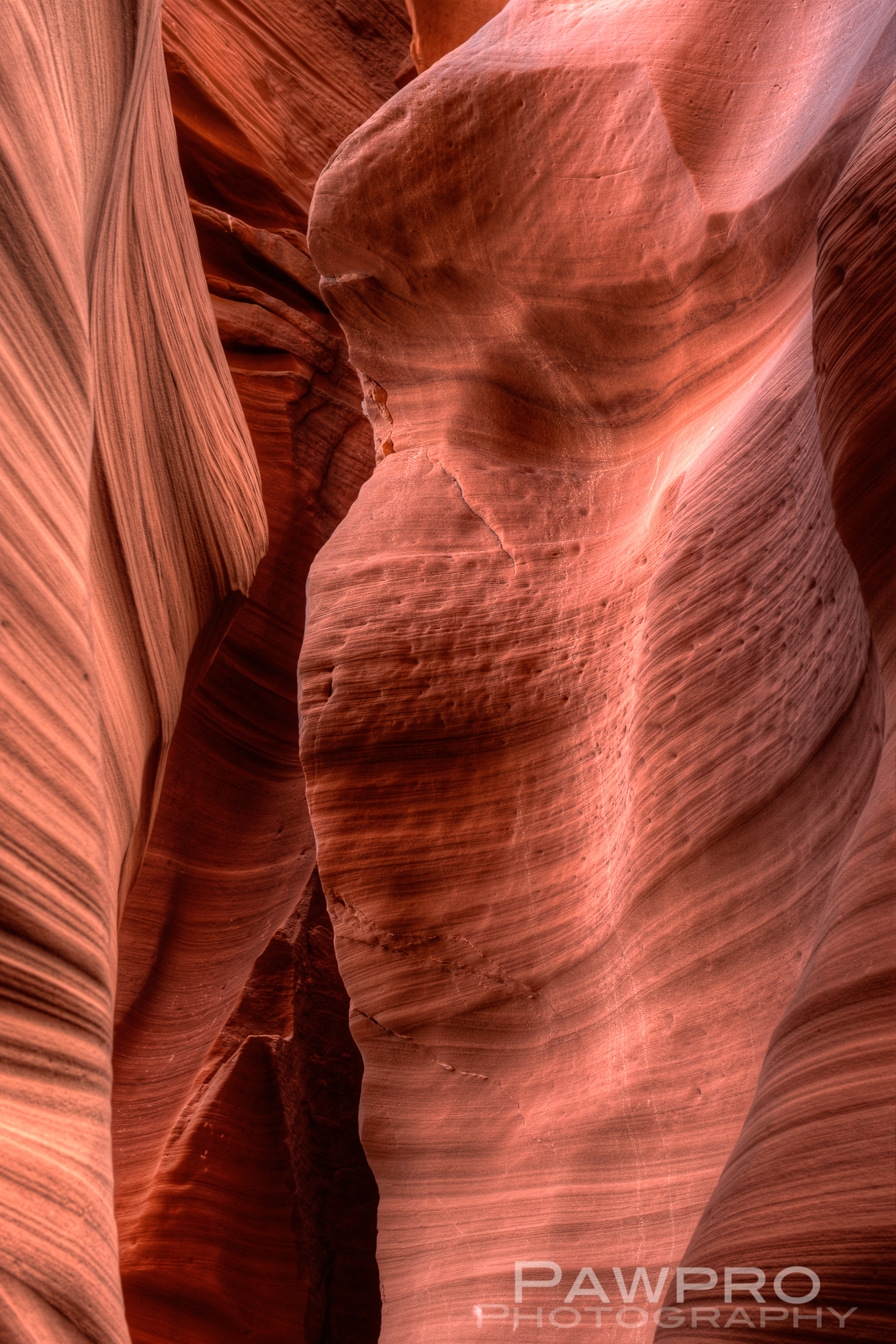 Slot Canyon/Amy Linn Doherty PhotoPAW9162_3_4