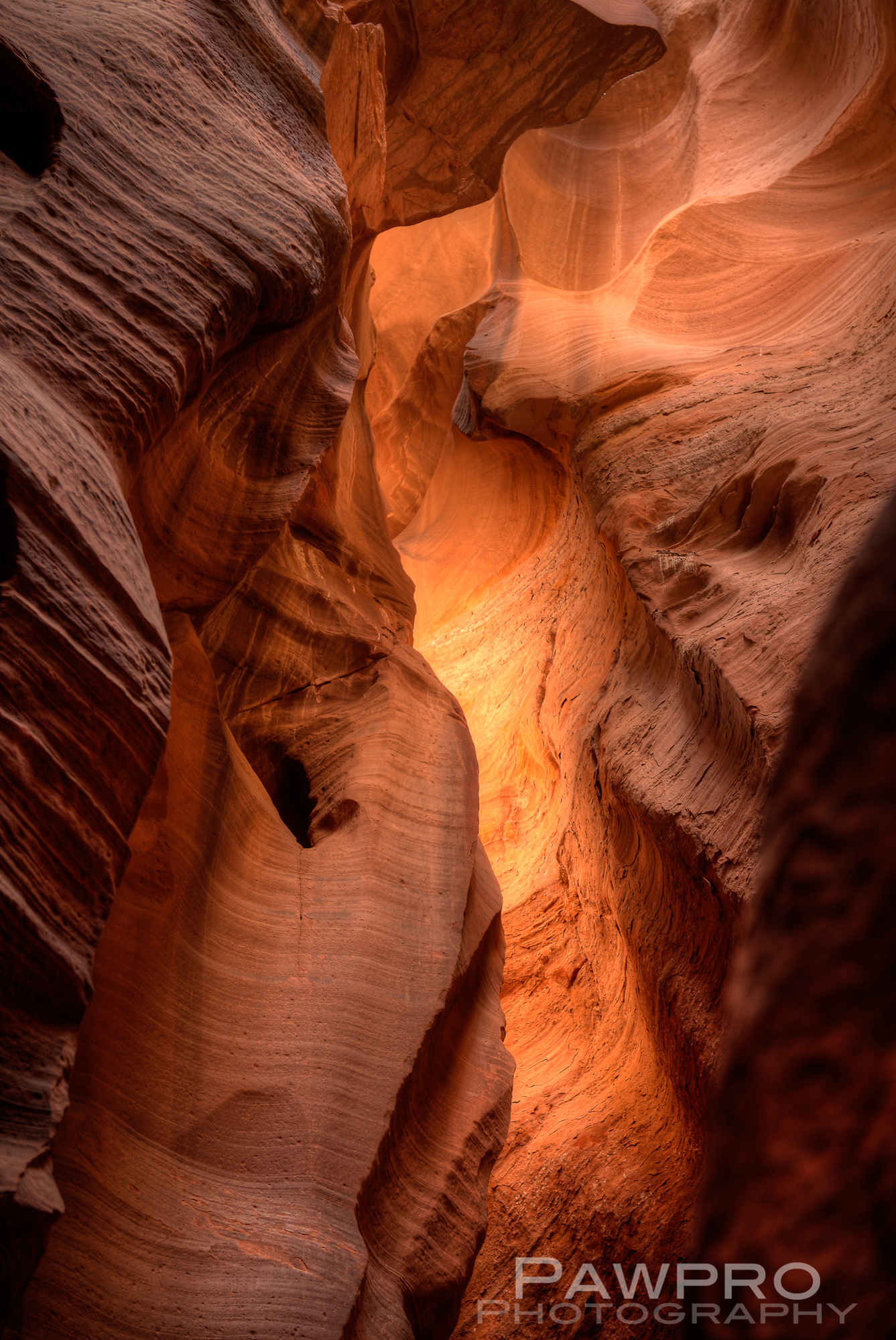 Slot Canyon/Amy Linn Doherty PhotoPAW9227_28_29_30_31_32_33
