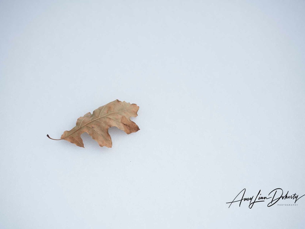 Washington, D.C. Area Awash in Sleet and&nbsp;Snow
